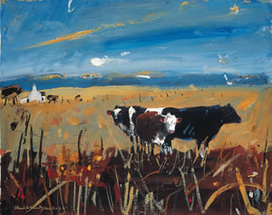 Cattle, Arisaig 