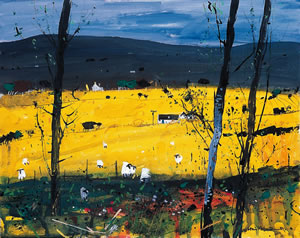 Farm Field, Fort William