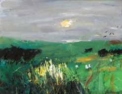 Late Day Sun, Arran Greeting Card