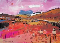 Sheep, Wester Ross Greeting Card