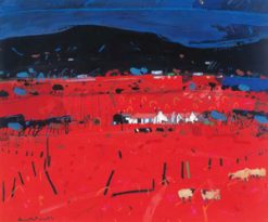 Sheep Farm Skye Greeting Card